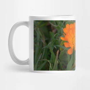 ebs orange poppy Mug